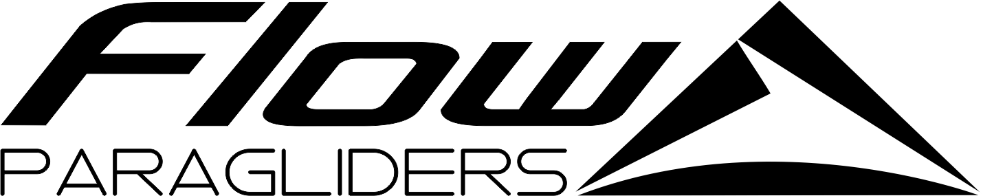 Flow Logo